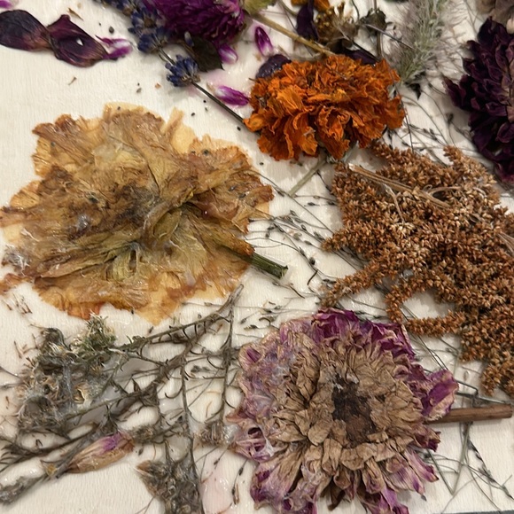 Pressed Flower Wall Art - Picture 7 of 9